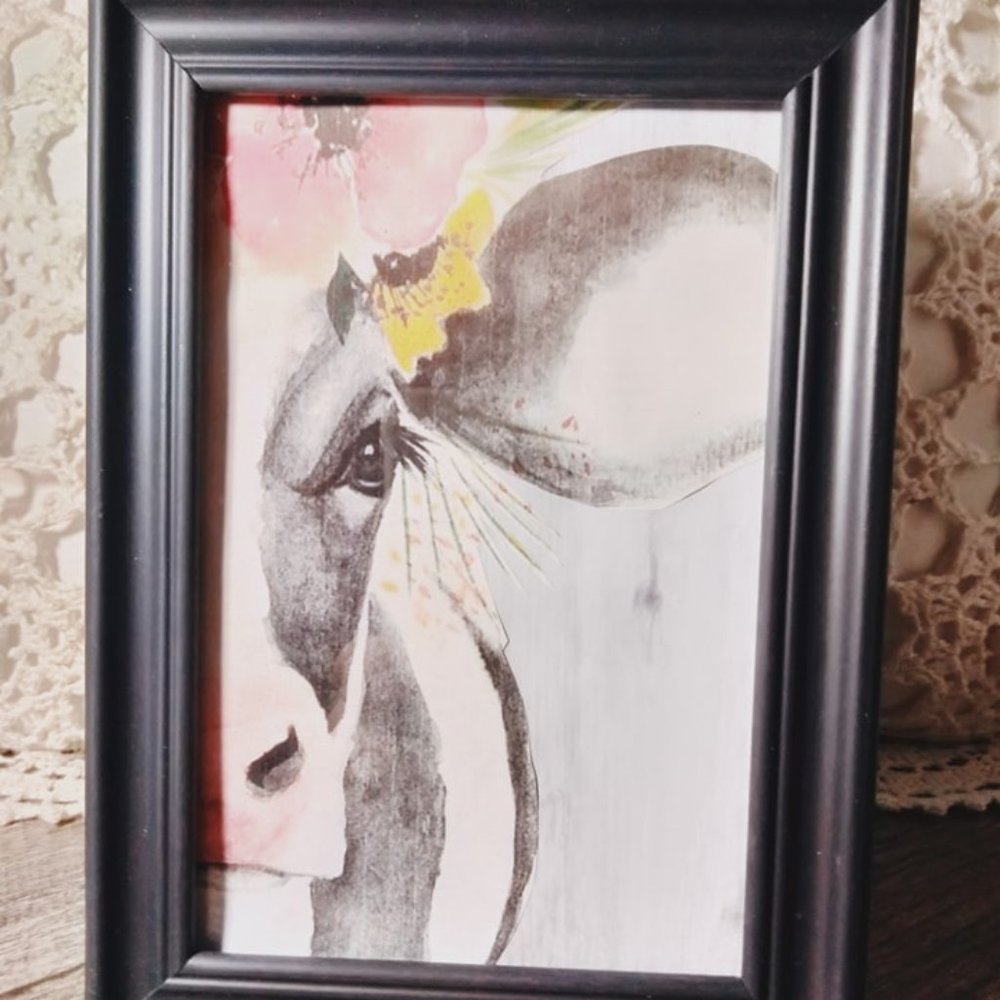 4x6 Cow Picture